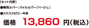 価格13,860円（税込） 