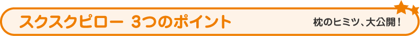  スクスクピロー5つのポイント　枕のヒミツ、大公開！